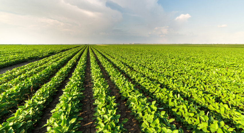 AGRICOLTURA